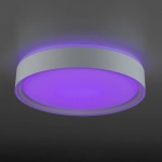 Citilux BOSS CL751250G LED RGB Светильник с пультом Белый