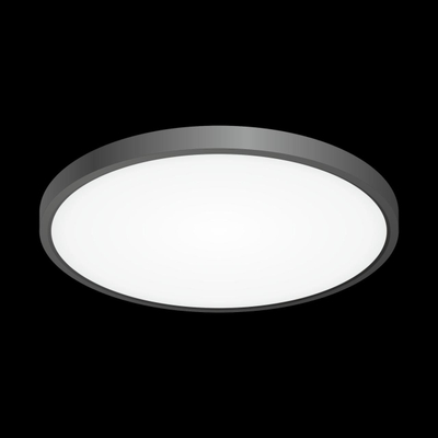 Citilux Бейсик CL738321V Светильник накладной Чёрный