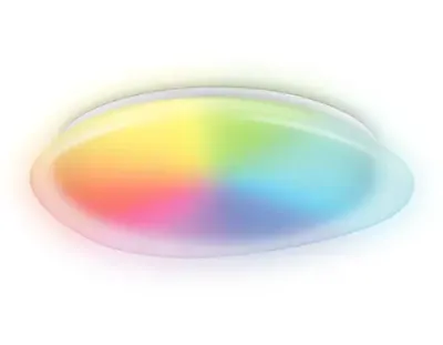 Светильник светодиодный RGB с пультом  FZ1615 FR матовый IP20 60W 3000-6500K+RGB 510*100 (ПДУ ИК)