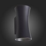 SL088.401.02 Светильник уличный настенный ST-Luce Черный кварцевый LED 2*5W 4000K