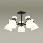 4534/5C COMFI LN21 240 черный Люстра потолочная E27 5*60W 220V WILMA