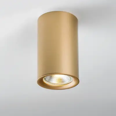 204440 Насадка торцевая на светильник RULLO ЗОЛОТО Lightstar