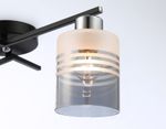 Светильник потолочный TR303211/2 BK/CH/SM/FR черный/хром/дымчатый/белый матовый E27*2 max 60W 500*170*200