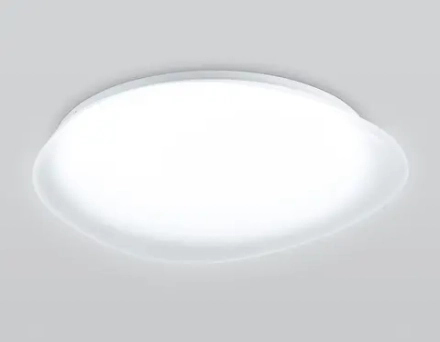 Светильник светодиодный потолочный FZ1605 FR матовый IP20 60W 5000K 510*100 (Без ПДУ)