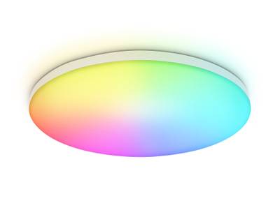 Потолочный светодиодный светильник с Wi-Fi Яндекс Алисой/Tuya/Smart Home/Alexa FZ2001 WH белый IP54 20W 3000K-6500K+RGB D300*55 (ПДУ ИК)