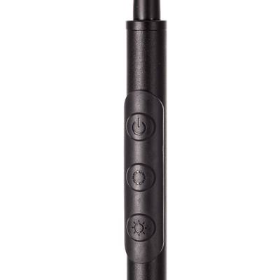 Citilux Alex CL804051 Торшер с пультом Чёрный