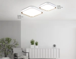 Потолочный светодиодный светильник FZ1253 WH/GD белый/золото 18W 5000K 250*250*60 (Без ПДУ)