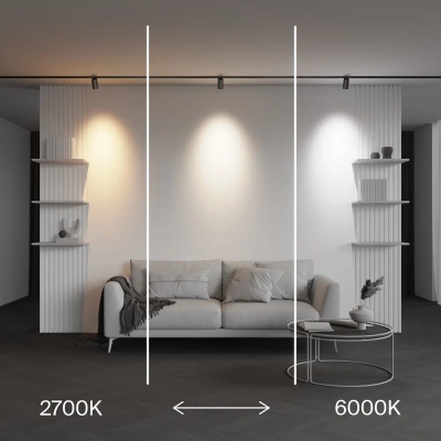 Трековый светильник Фокус / Focus Led Exility X 2700-6000K 12Вт 36° Dim Dali2, TR243-4-12WTW-DD2-B. TM Maytoni