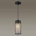 4834/1 NATURE ODL21 742 черный/стекло Ландшафтный светильник-подвес E27 1*60W IP44 DUNES