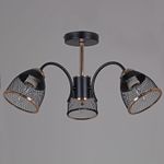 01505-0.3-03 BK+FGD светильник потолочный