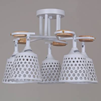 04218-0.3-05 WT светильник потолочный