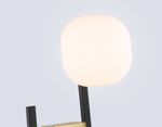 Светильник настенный LH51019/2 BK/BS/FR черный/латунь/белый матовый G9*2 max 28W 230*170*480
