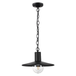 4833/1 NATURE ODL21 711 черный/стекло Ландшафтный светильник-подвес E27 1*40W IP44 FURCADIA