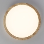 Citilux Бейсик CL738182V LED Светильник накладной Клён