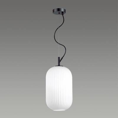 4751/1 PENDANT ODL21 489 белый/черный Подвес E27 60W ROOFI