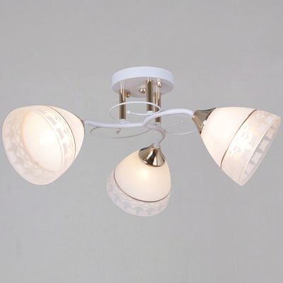 11460-0.3-03 WH+FG светильник потолочный