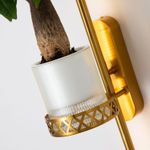 Настенный светильник Greenery 4050-2W. ТМ Favourite