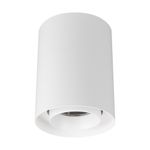 Светильник SP-FOCUS-R110-18W Warm3000 (WH, 15 deg, 230V) (Arlight, IP54 Металл, 5 лет)