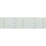 Лента RT 2-2500 24V Day4000 5x2 (2835, 875 LED, LUX) (Arlight, 36 Вт/м, IP20)