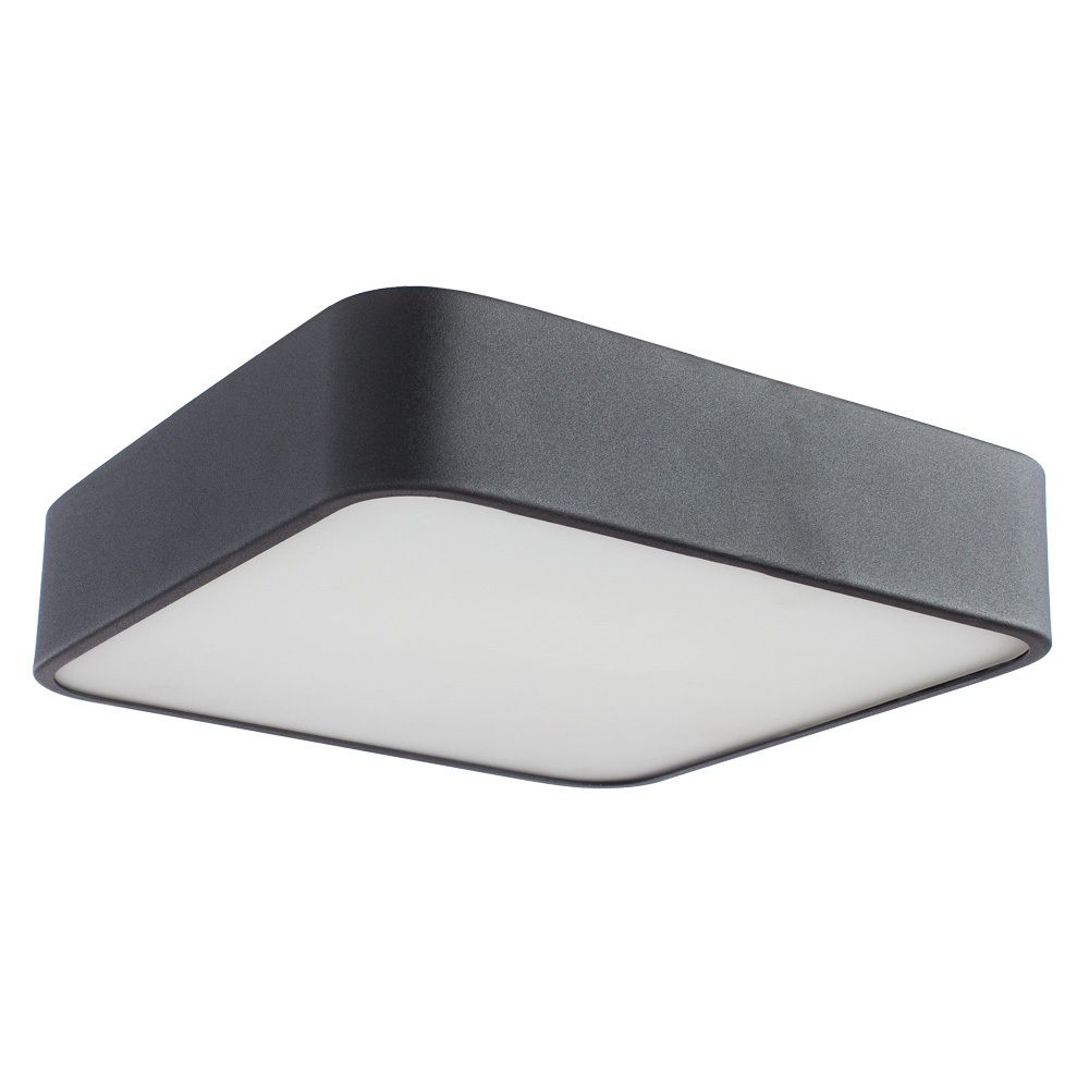 Потолочный светильник Arte Lamp COSMOPOLITAN A7210PL-2BK, 2хE27