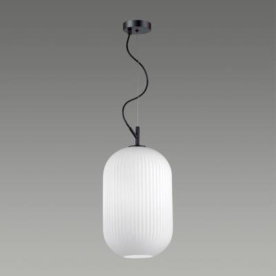 4752/1 PENDANT ODL21 489 белый/черный Подвес E27 60W ROOFI