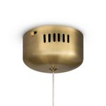 Подвесной светильник Pina FR5387PL-L14.5BS1, LED. TM Maytoni