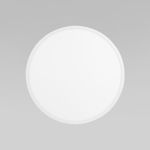 Уличный потолочный светильник Aqua IP54 CCT+DIM 18797 18797 Aqua