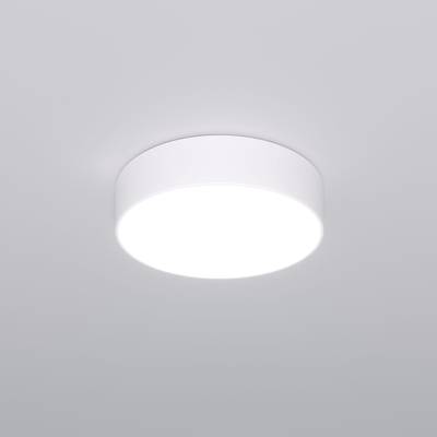 Потолочный светодиодный светильник 90318/1 белый, LED