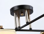 Светильник подвесной TR303089/6 BK/FGD/FR черный/золото/белый матовый E27/6 max 40W 800*580*250