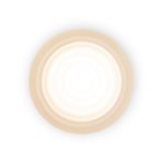 Настенный светильник (бра) Retro FR5603WL-L8W1, LEDх1. TM Maytoni