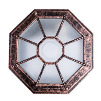 Уличный потолочный светильник Arte Lamp PEGASUS A3100PL-1AC, 1хE27