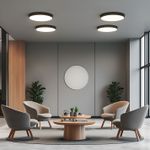 Потолочный светильник Arte Lamp FADO A7350PL-1BK, 1хLED