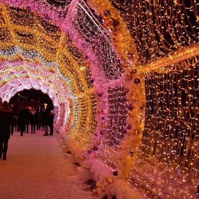 Светодиодная гирлянда ARD-STRING-CLASSIC-10000-CLEAR-100LED-STD Gold (230V, 7W) (Ardecoled, IP65)