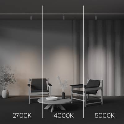 Трековый светильник Focus Led Trinity 2700-5000K 12Вт 36°, TR197-3-12WCCT-M-W. TM Maytoni