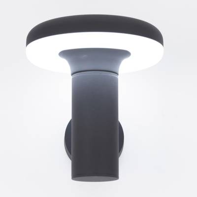 Citilux CLU01W LED Уличный настенный светильник Графит