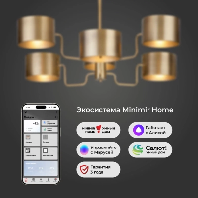 Умная потолочная люстра в стиле лофт 293/6, E14х6