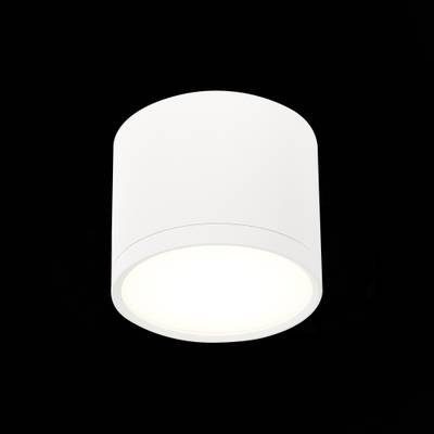 ST113.542.09 Светильник потолочный Белый LED 1*9W 4000K 702Lm Ra&gt;80 120° IP20 D88xH75 170-240V