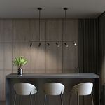 Потолочный светодиодный светильник с поворотным механизмом 20252/6 LED черный, LED