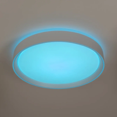 Citilux BOSS CL751350G LED RGB Светильник с пультом Белый