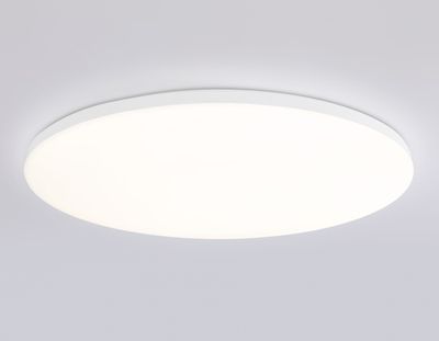 Потолочный светодиодный светильник с Wi-Fi Яндекс Алисой/Tuya/Smart Home/Alexa  FZ2003 WH белый IP54 30W 3000K-6500K+RGB D450*60 (ПДУ ИК