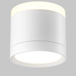 Потолочный светильник Pauline GX53 12Вт C120CL-GX53-W. TM Maytoni