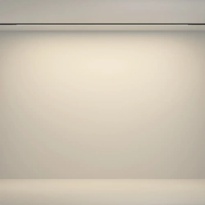 Трековый светильник Гибкий / Flex Basity 3000K/6000K 24Вт 90°, TR180-1-24WTW-B. TM Maytoni