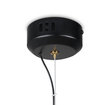 Подвесной светильник Enchantment FR5384PL-L13GN, LED. TM Maytoni