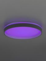 Citilux ENZO CL753453G LED RGB Светильник с пультом Серый + Белый