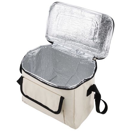 Термосумка CB-161, 7л., р-р: 25x15x20см