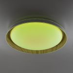 Citilux MEGA CL752452G LED RGB Светильник с пультом Белый+Клён