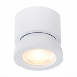 ST654.542.10 Светильник потолочный Белый LED 1*10W 4000K 850Lm Ra&gt;90 38° IP20 D95xH96 180-240V