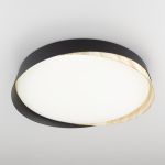 Citilux BONNY CL754351G LED RGB Светильник с пультом Черный+Клён