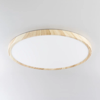 Citilux БейсикCL738322V LED Светильник накладной Клён