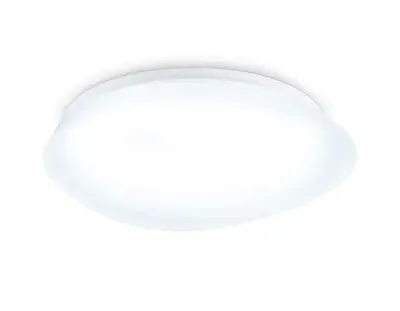Светильник светодиодный потолочный FZ1601 FR матовый IP20 40W 5000K 410*100 (Без ПДУ)